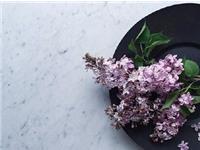 张盛舒12星座每周旅游出行运(2.14-2.20)