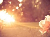 乔治娅2016年水瓶座占星运势