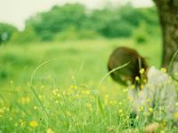 肖百奇2016年十二生肖整体运势