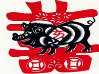 12生肖的职场生存法则——猪