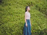 浮图塔一周生肖运势（3.14-3.20）