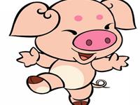 有关12生肖的男女配对——猪