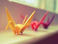 测试你的真心会被啥感动