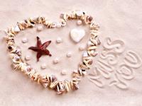 12星座一生所需付出真爱的次数