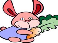 12生肖老板会给谁加薪—兔