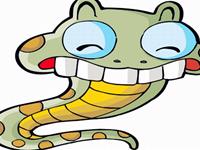 12生肖适合的春游地——蛇