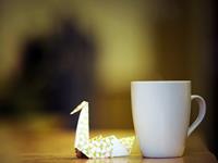 鸭梨山大时12星座如何降压