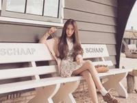 如萱占卜2016年4月处女座运势