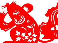 16年的生肖家装禁忌—鼠