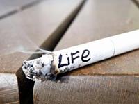 做事理性大于感性的生肖人