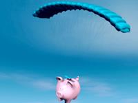 12生肖撒过最真实的谎—猪