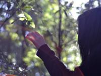 氧气占星2016年4月金牛运势