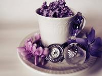 生命灵数：看你的嫉妒心理有多强