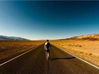 占卜你活着的目的是什么