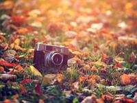 不值得等待的星座男排行