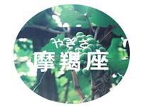 一句话就收服摩羯男