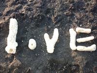 吵得越狠爱的越深的星座CP