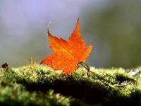 占卜你要警惕哪种人生意外