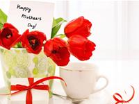 十二生肖母亲节日希望收到啥