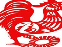 生肖鸡你不知道的那些事