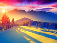 占卜你现在正缺一股什么劲