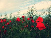 塔罗牌占卜你这周需要注意的事