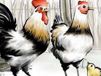 1969年属鸡的人2017年运程