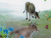 1985年属牛的人2017年运程