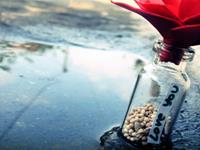 测你们的爱情是否能够容忍杂质