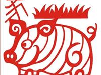 水命?火命?揭秘生肖猪属啥命