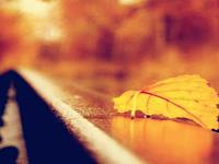 紫微斗数看今年最艰辛难行的主星