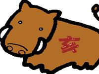 属猪女必甩哪种男人，你造吗