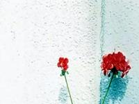 测你是一个矫情的人吗