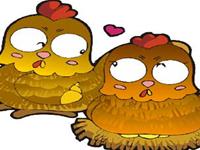 你的生肖鸡前任是否还在爱着你