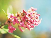 塔罗牌占卜你们的爱情是否长久