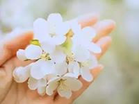 占卜你在16下半年的桃花运