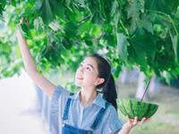 六月运气超好的星座