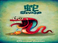 万万没想到生肖蛇是这样的