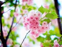 占卜你对待爱情为啥如此花心