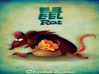 衰运缠身！生肖鼠要注意的月份