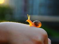 占卜你是一个内心阴暗的人吗