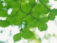 12星座最有效的恋爱方式