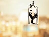 测你分手后会何如疗伤