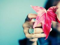 占卜2016年对你来说是怎样的