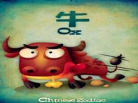 生肖牛什么时候最倒霉