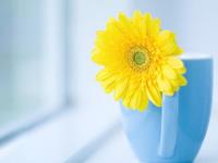 占卜他为什么想要和你分手