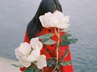 艾菲尔12生肖下半年运势吉凶分析