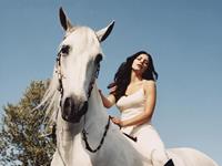 感情容易受物质影响的生肖