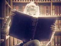 占卜你未来的命运如何