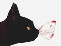 占卜你们的感情到终点了吗